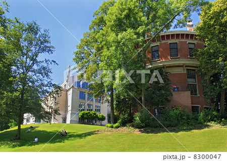 People relaxing in park Leopold, Brussels 8300047