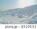 樹氷 8310533