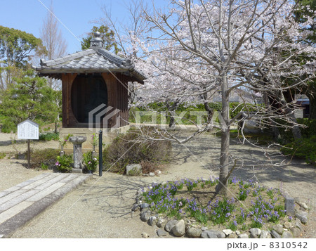 来迎寺(三重県松阪市) 来迎寺(三重県松阪市) 8310542