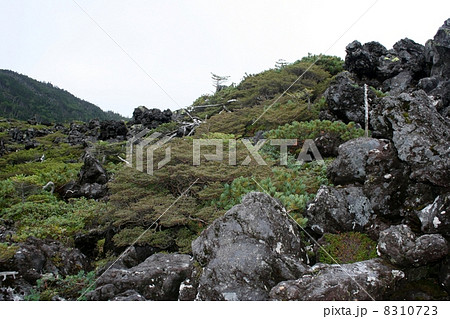 溶岩坪庭自然保護区 溶岩坪庭自然保護区 8310723
