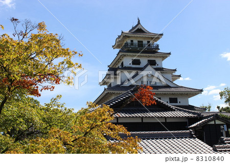 秋の今治城 8310840