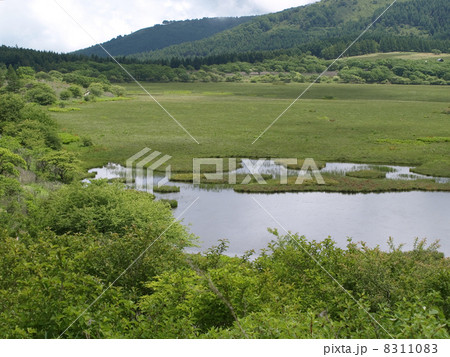 八島湿原 8311083