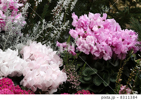 花壇 花壇 8311384