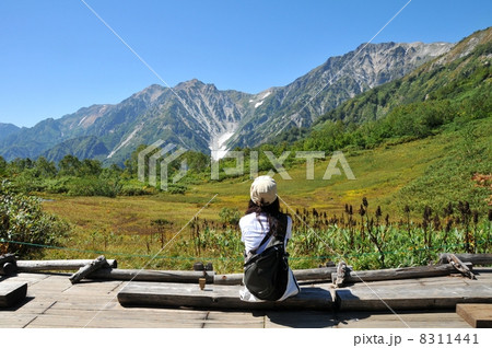 長野県　白馬　栂池自然園　展望台より 8311441