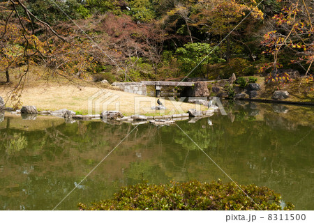 仙洞御所　南池の出島と土佐橋 8311500