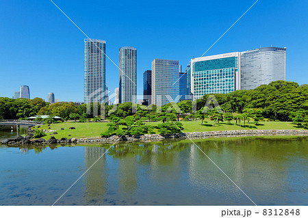 浜離宮庭園と湖面に映える汐留の高層ビル街 浜離宮庭園と湖面に映える汐留の高層ビル街 8312848