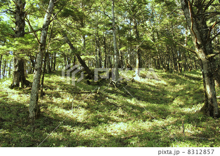 黒戸尾根 8312857