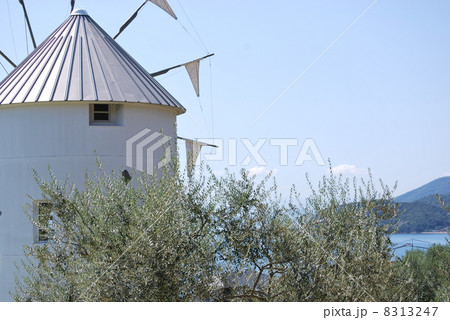 オリーブ公園 8313247