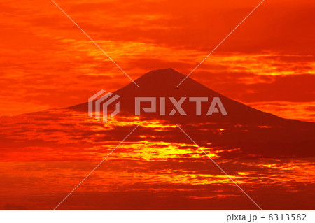 富士山と雲海 8313582