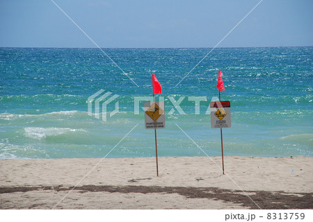 フラッグ フラッグ 8313759