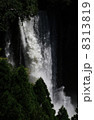 秋雨を集めて吠える滝壺 8313819