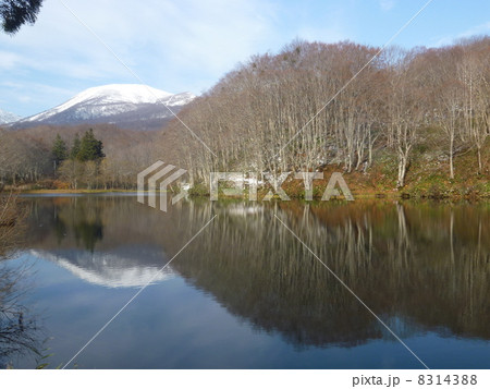 山形県　月山　五色沼 8314388
