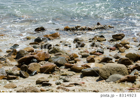 ウィットサンデーの砂浜 8314923