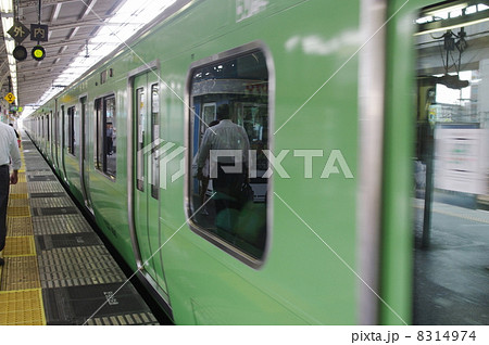 みどりの山手線 8314974