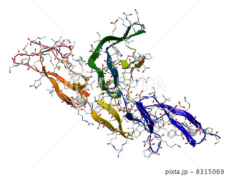 Fibrillin glycoprotein molecule 8315069