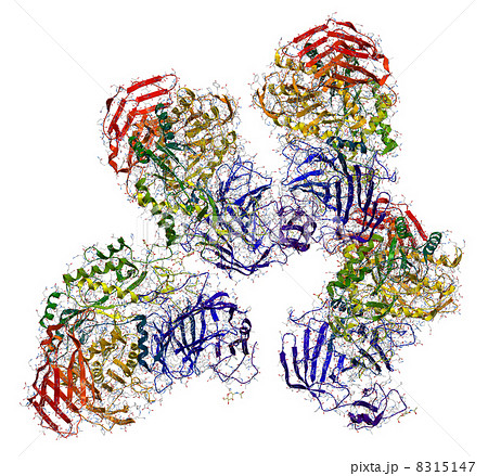 Sucrase-isomaltase enzyme structure 8315147
