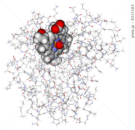 Protein myoglobin with heme showed in balls 8315163
