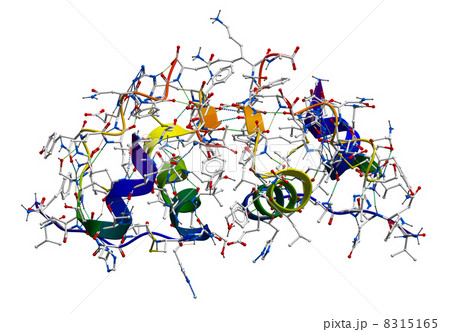 Insulin molecular structure 8315165