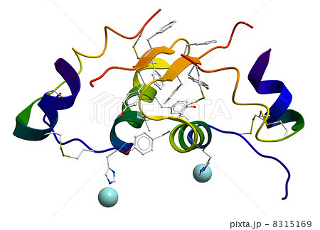 Insulin molecular structure 8315169