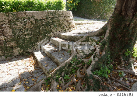 9月風景・沖縄20首里金城町・金城村屋 8316293