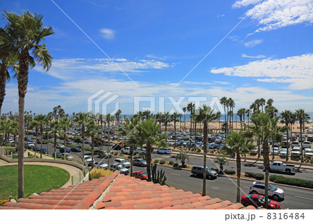 ロサンゼルス郊外のビーチ、夏の休日 8316484