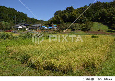 鶴見川源流　町田市 8316633