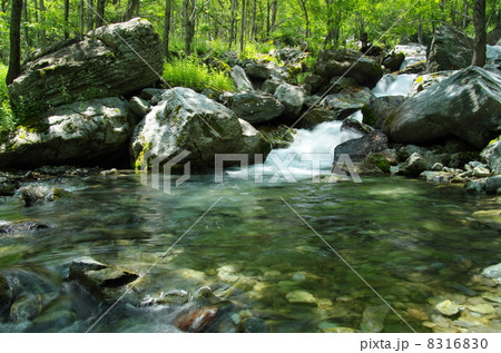 北岳、大樺沢 8316830