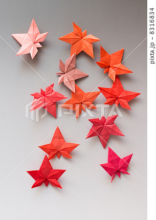 紅葉の折り紙 8316834