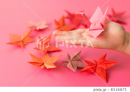 折り鶴を手にのせる子供と折り紙の紅葉 8316875