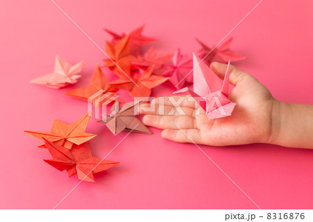 折り鶴を手にのせる子供と折り紙の紅葉 折り鶴を手にのせる子供と折り紙の紅葉 8316876
