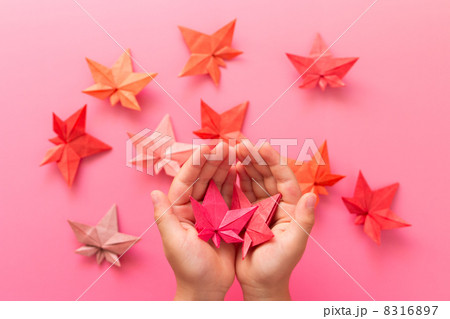 子供の手と折り紙の紅葉 8316897