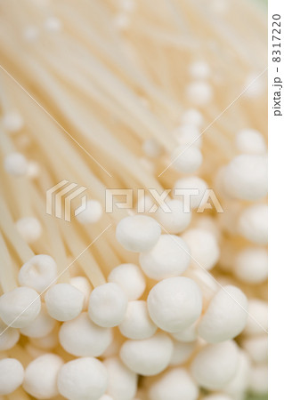 エノキダケ エノキダケ 8317220