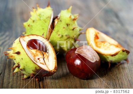 Ripe chestnuts. 8317562
