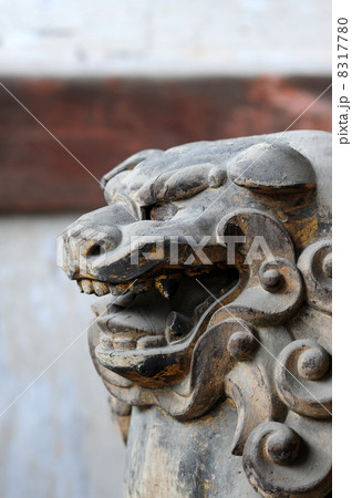 仁和寺の狛犬-1 8317780