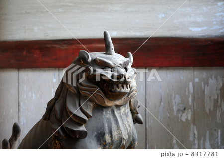 仁和寺の狛犬-3 仁和寺の狛犬-3 8317781