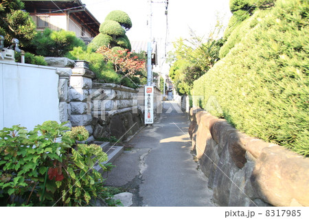 路地 路地 8317985