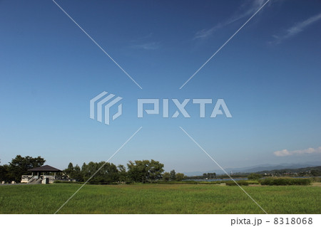 石川木場潟公園（石川県 小松市） 8318068