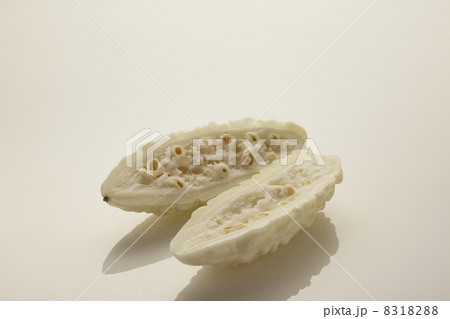 白ゴーヤ 8318288