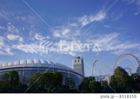東京ドーム 東京ドーム 8318350