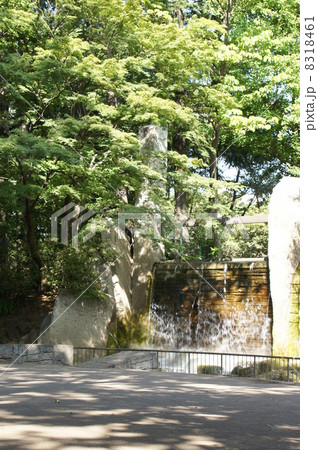公園の滝 8318461