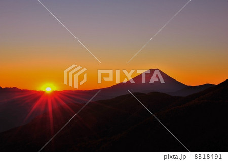 日の出と富士山 8318491
