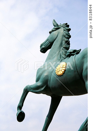 護国神社 8318644