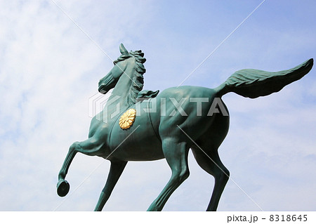 護国神社 8318645