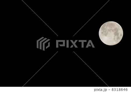 中秋の名月 8318646