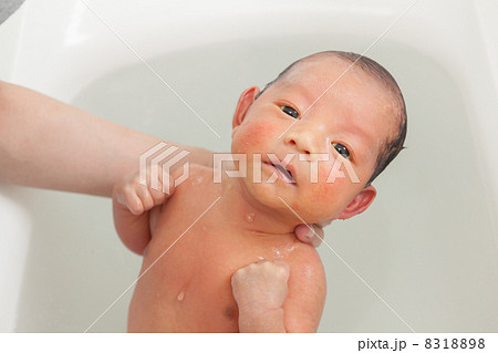生後3週間 生後3週間 8318898
