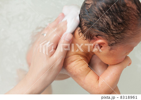 生後3週間 8318961