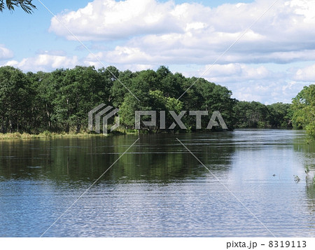 細岡を流れる秋の釧路川 8319113