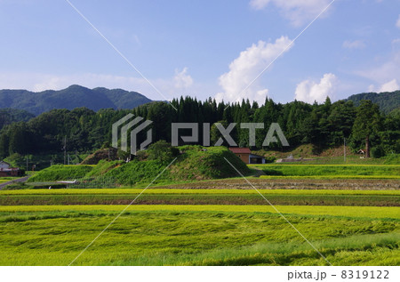 島根頓原の刈り入れ前の里山の景色 8319122