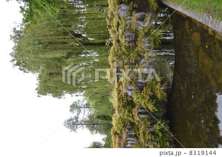 リージェンツパーク リージェンツパーク 8319144