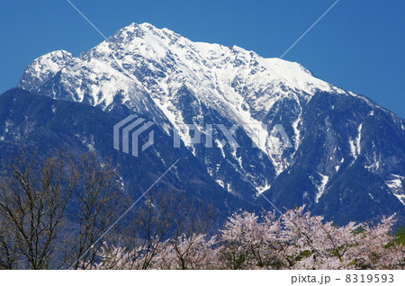 春の甲斐駒ケ岳 春の甲斐駒ケ岳 8319593